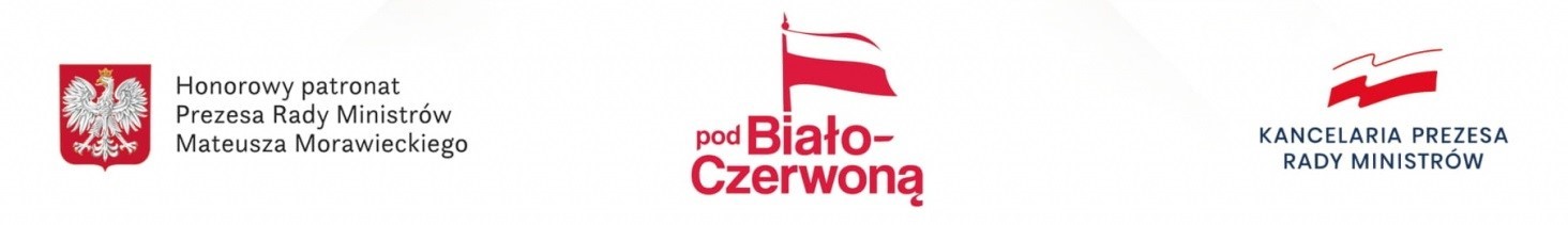 logo flaga